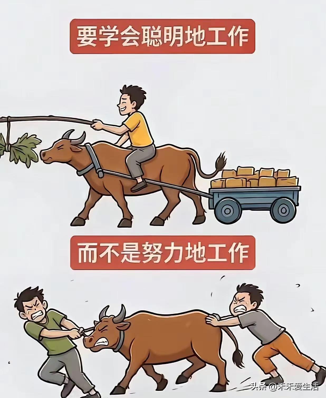聪明人做事果然厉害