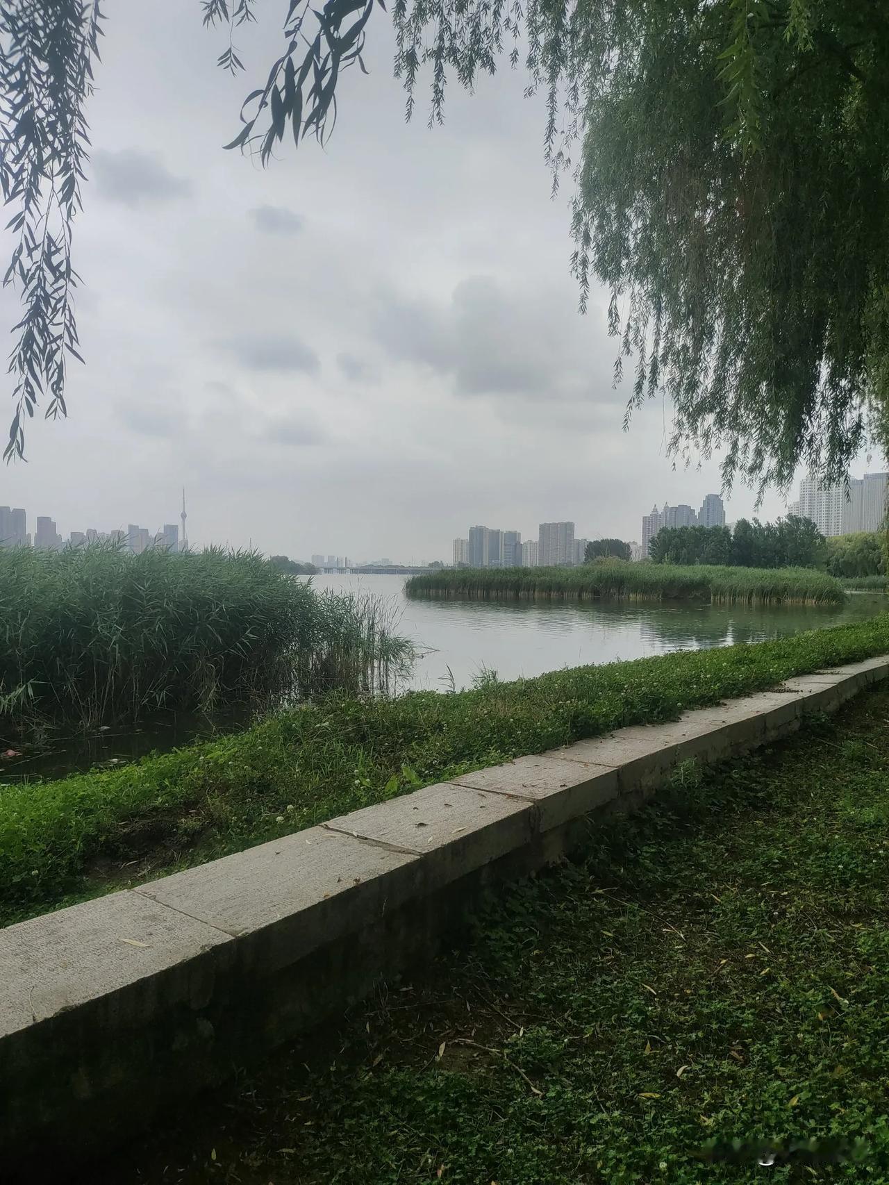 我现在住在南坊，北岸也建了一些小公园，桥底公园，早市等设施还不是很完备，连供游人