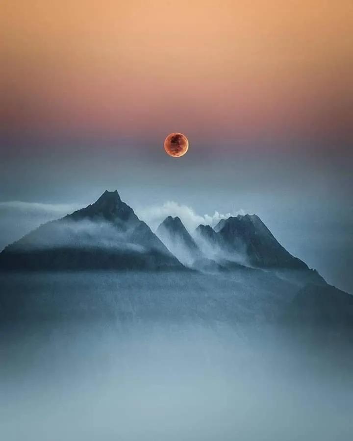 交情淡似秋江水；

贈句清於夜月波。

请高人对出下联…