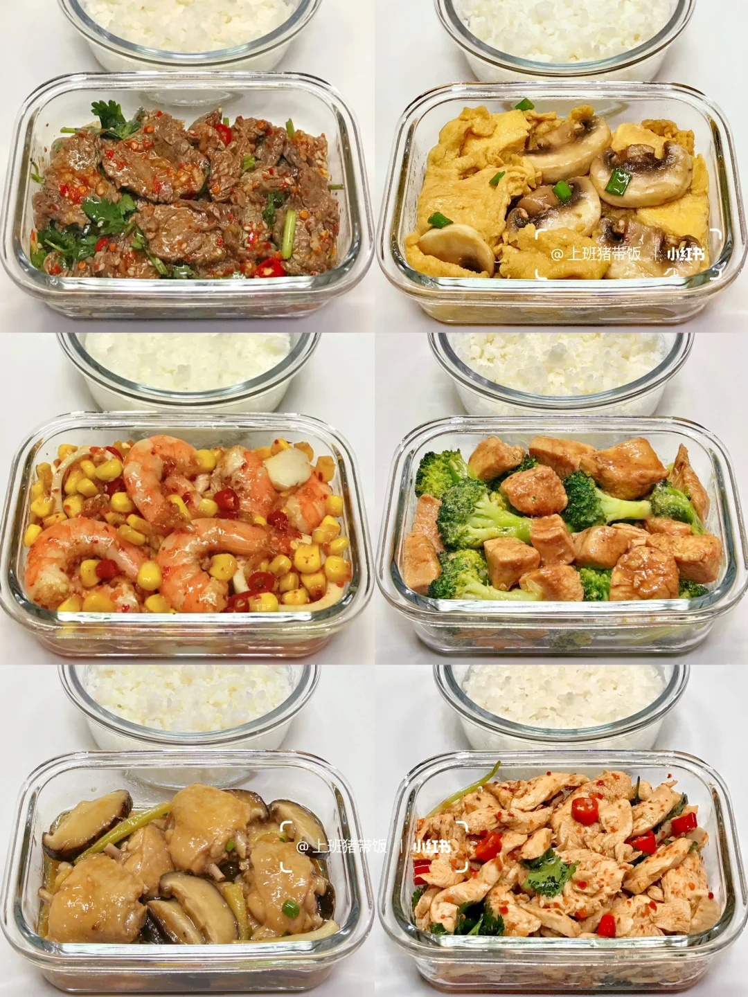 上班带饭合集｜少油少盐的减脂餐来了！