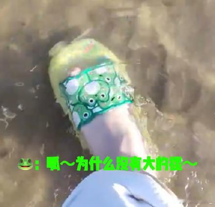 ？？？发不了图片？ 