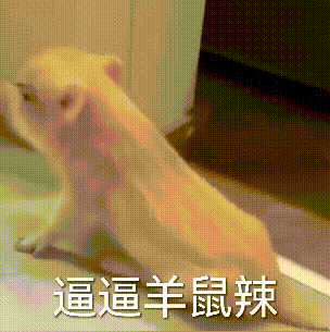 老婆老婆我爱你