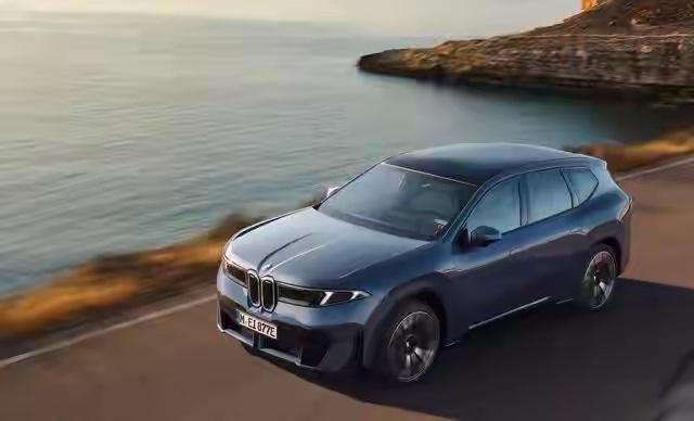 买了磷酸铁锂电池的车主，是不是都听过“耐用抗造、不用操心”的说法？但现实中，有人