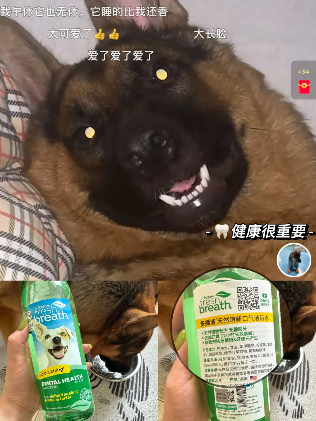 多年养🐶经验，一定要多关注毛孩子🦷健康