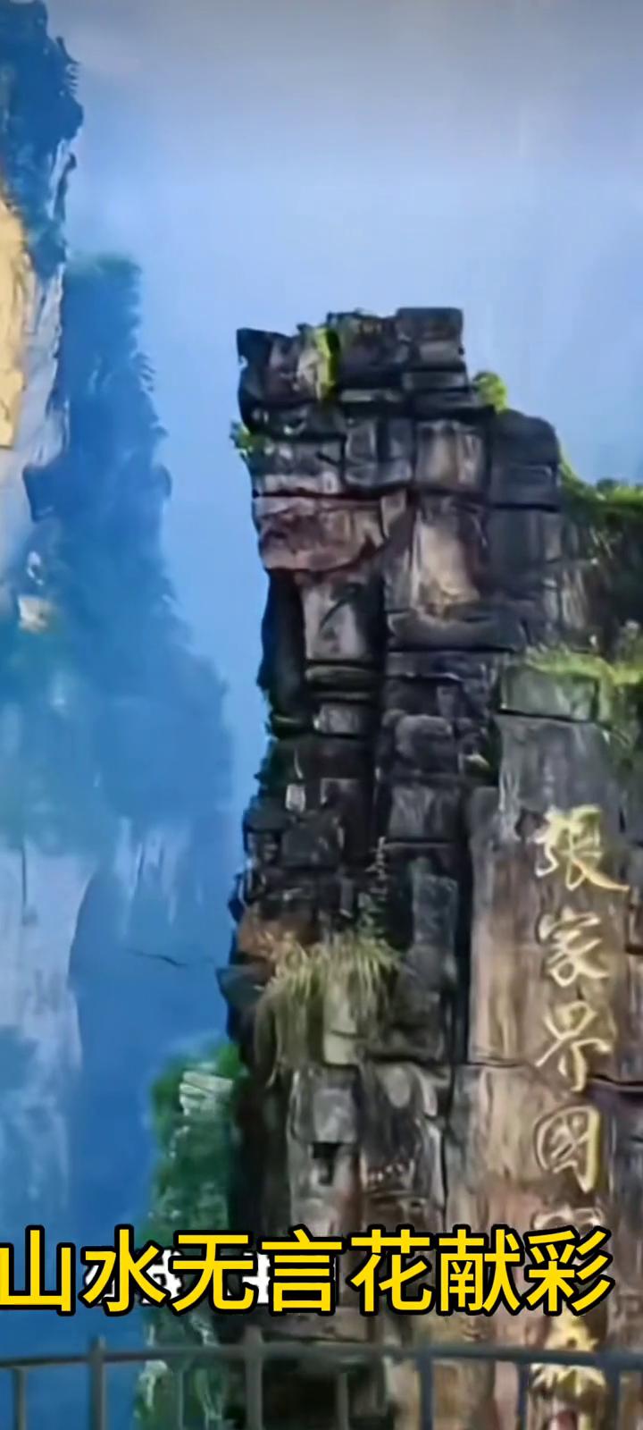 山水无言花献彩，振家不图。