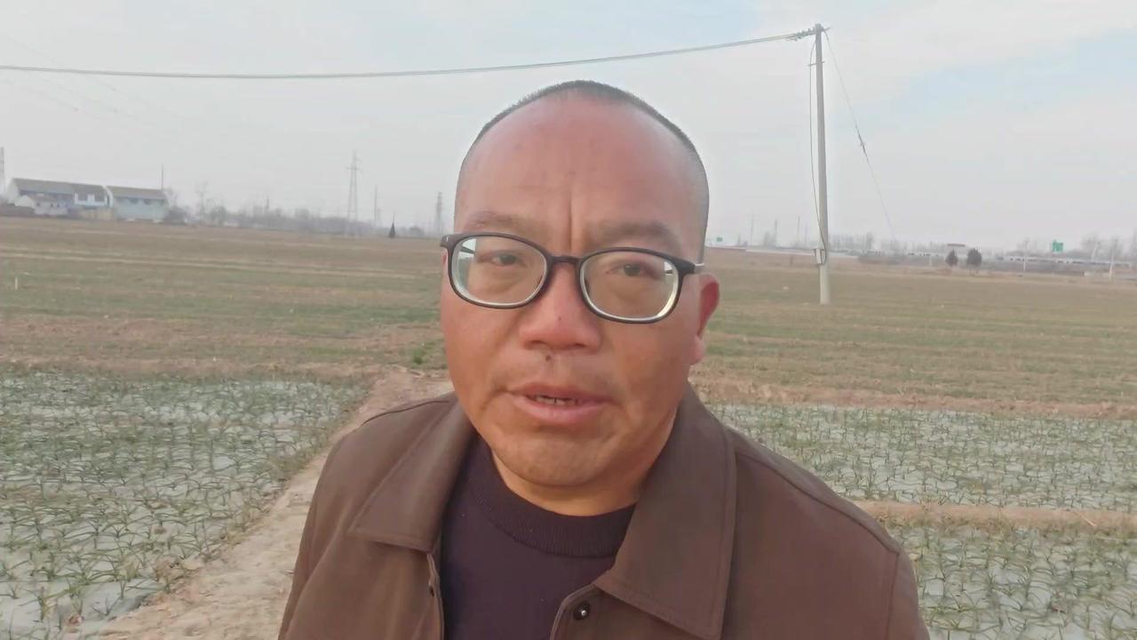 先说说根腐病。刚出苗时和正常苗没区别，长几个月后会开始干尖，叶子发红，这是典型前