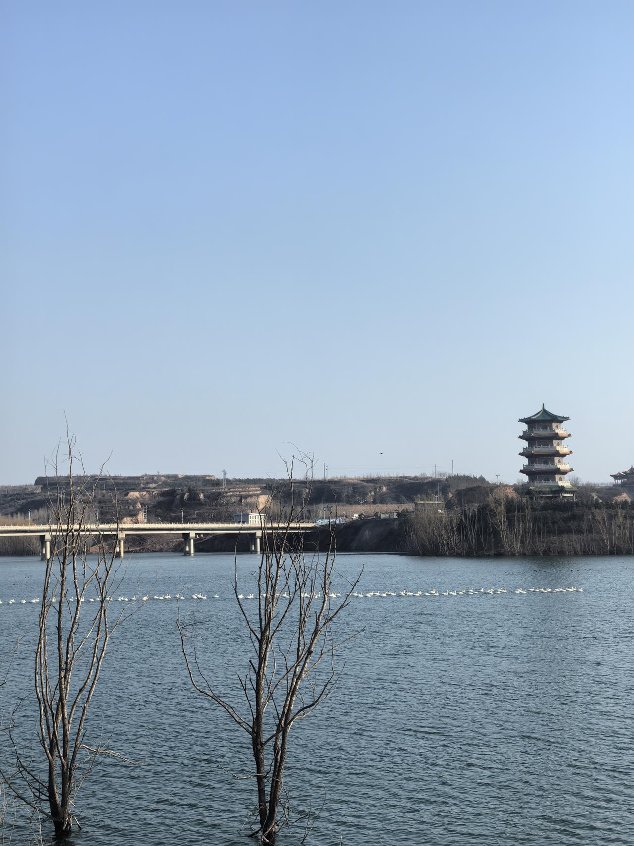 最近有人建议将“每天八小时工作制”修订为“每天七小时工作制”引起热议。
友友们怎