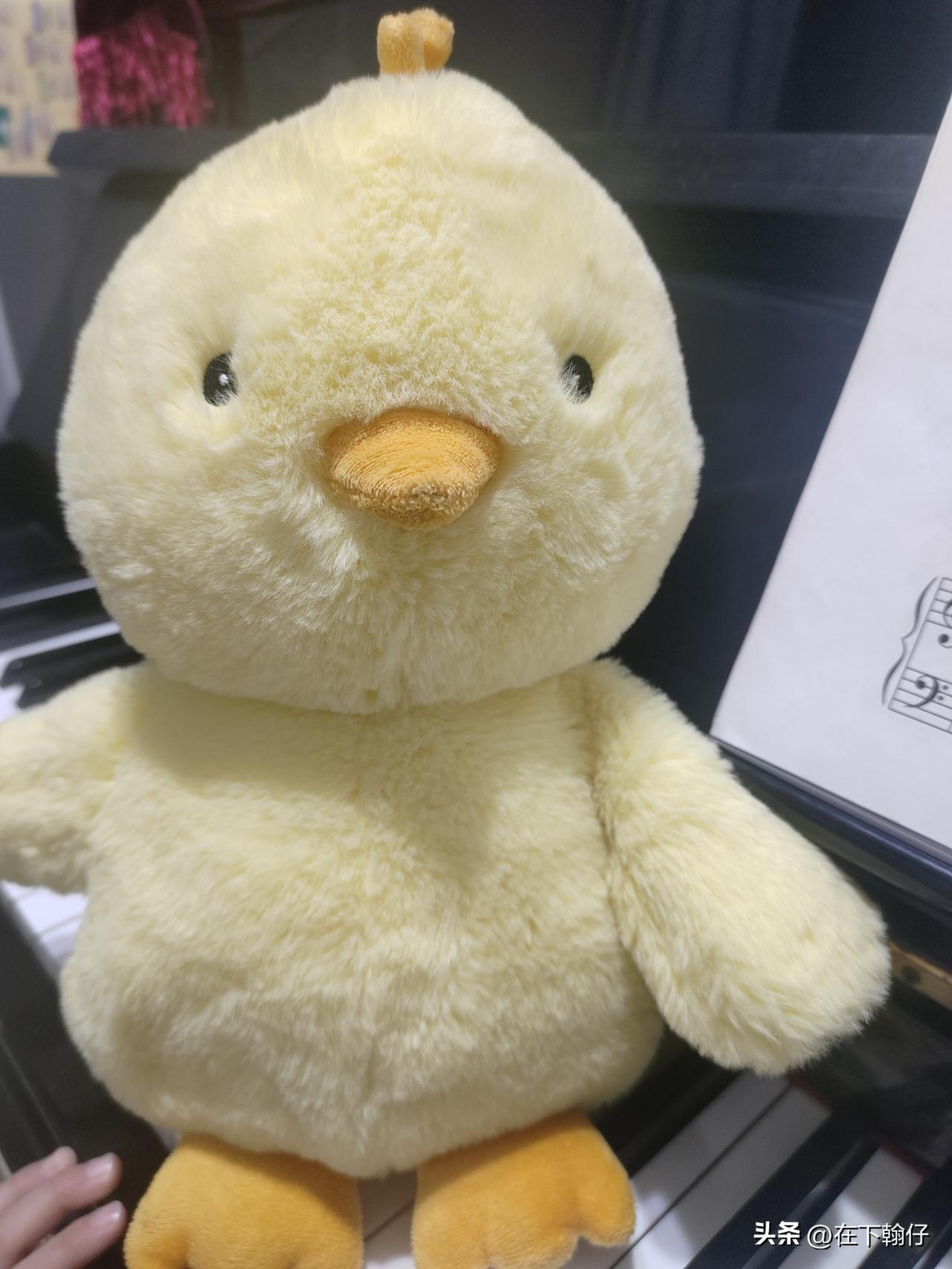 你们方言“舒服”怎么说?
四川话里表达“舒服”，最常用的就是巴适和安逸。

这两