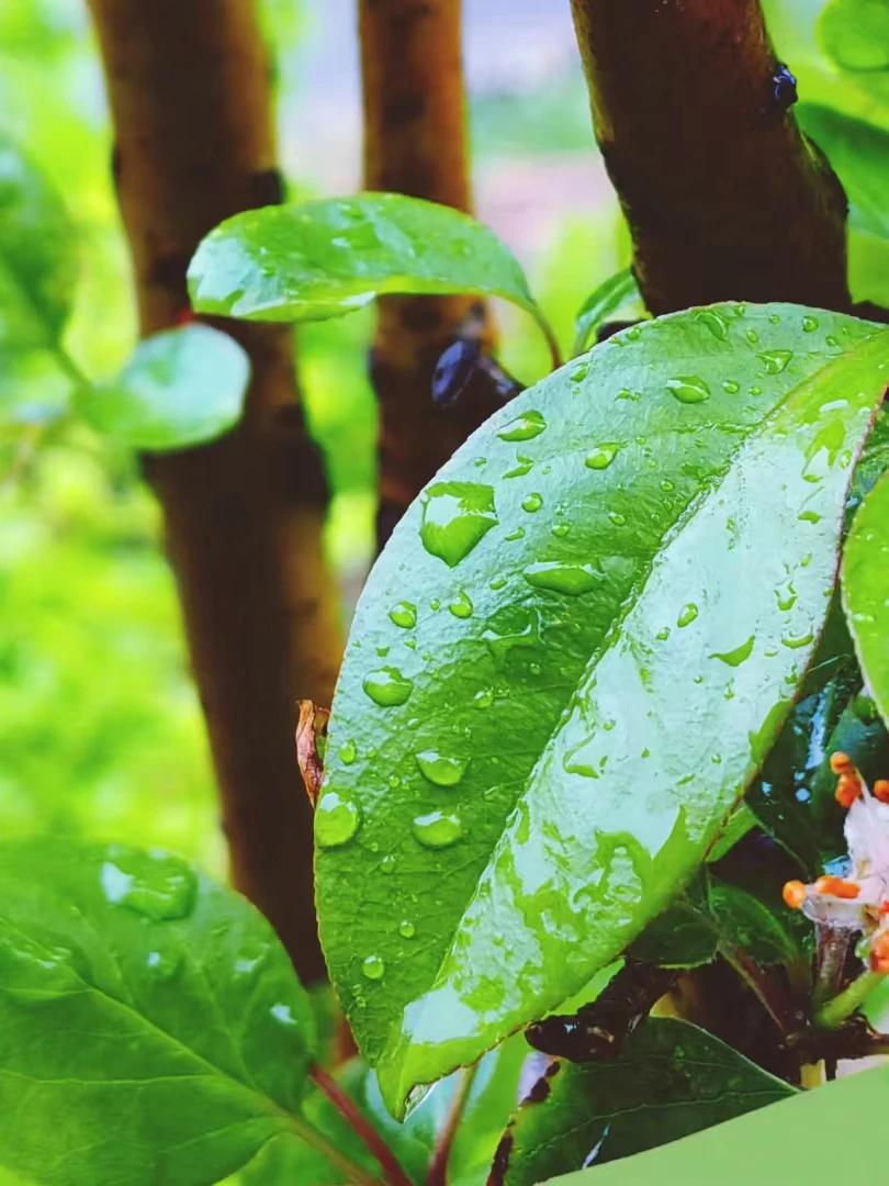 聊聊文科。今天下雨，办公室冷，不过一天的咨询也没有间断，除了临沭一组家长是理科(