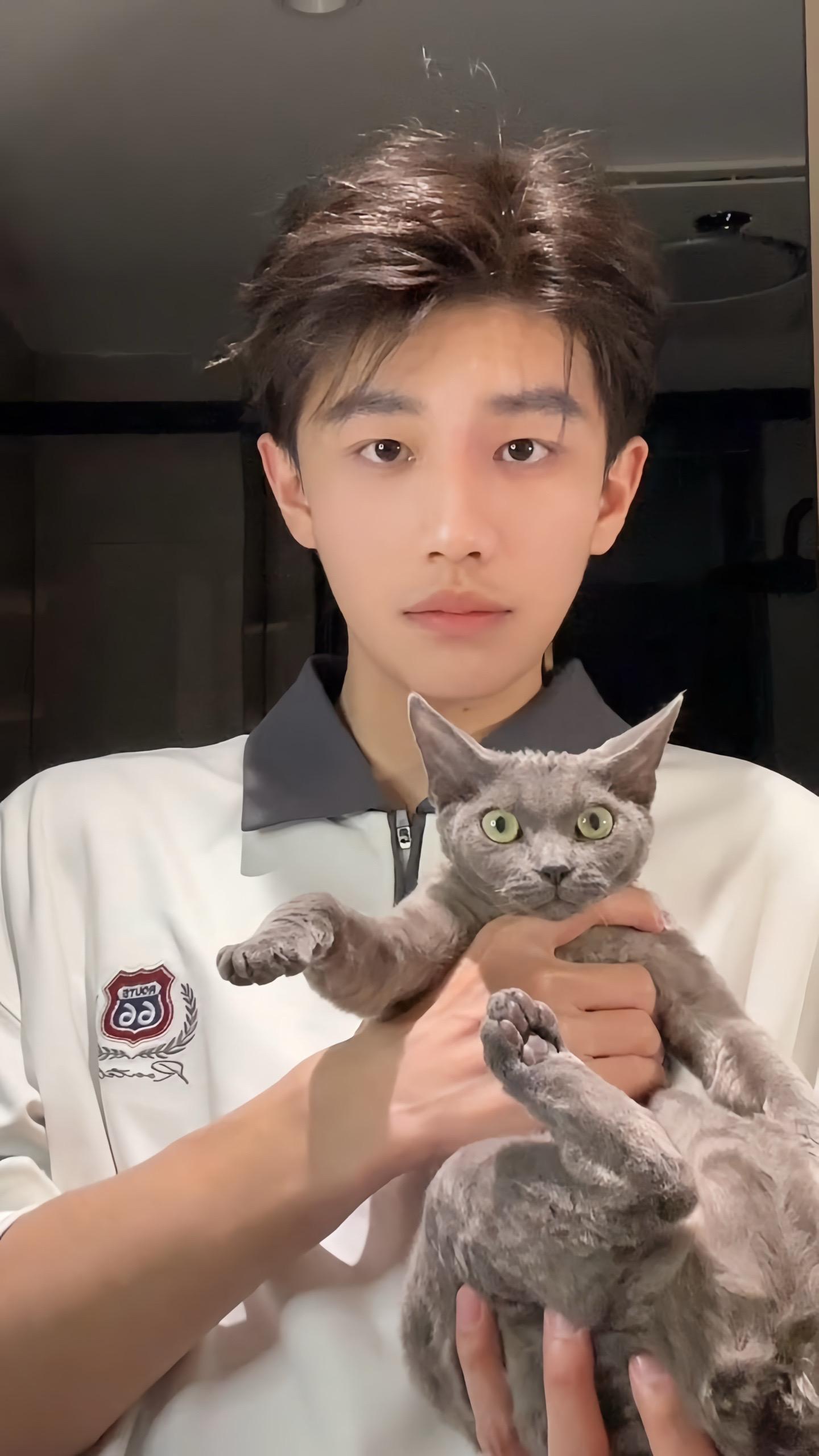 猫和我要哪个？