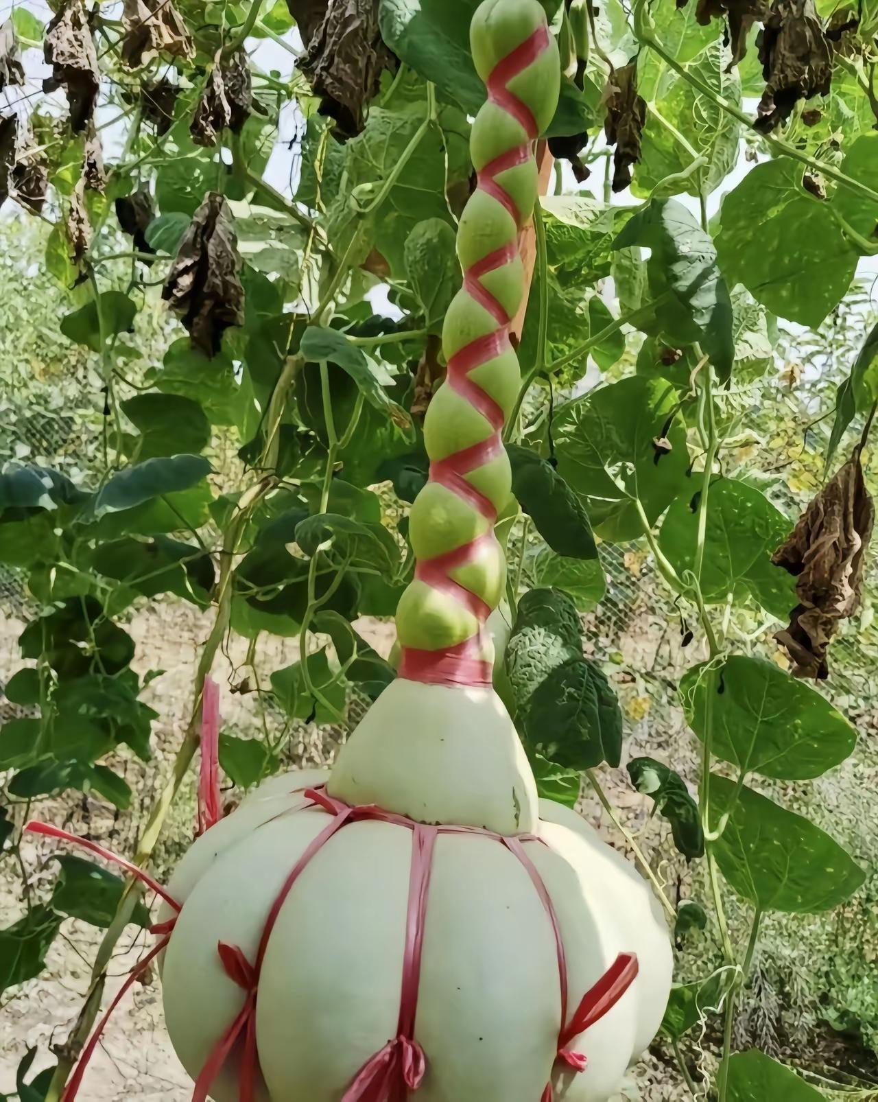 塑造成才………