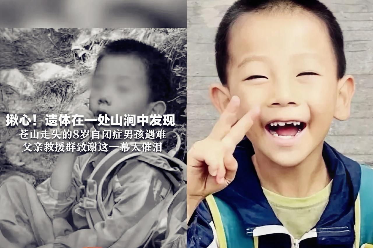 谁能想到，苍山那条冰冷的山涧里，藏着一个8岁自闭症孩子最后的挣扎？
 
这几天刷