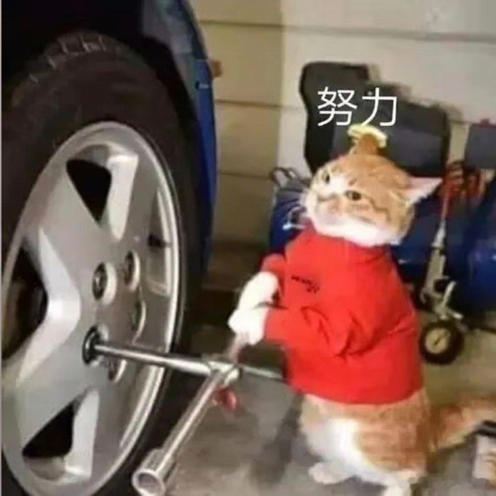 表情包分享。 