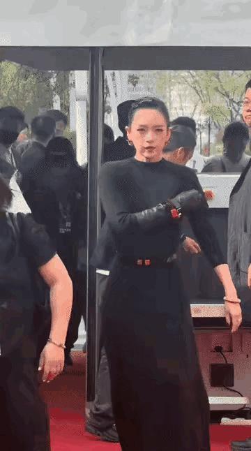 感觉她健壮如牛，心气有点浮躁的，情绪不稳定。对比擦肩而过的梅婷，笑靥如花，淡然如