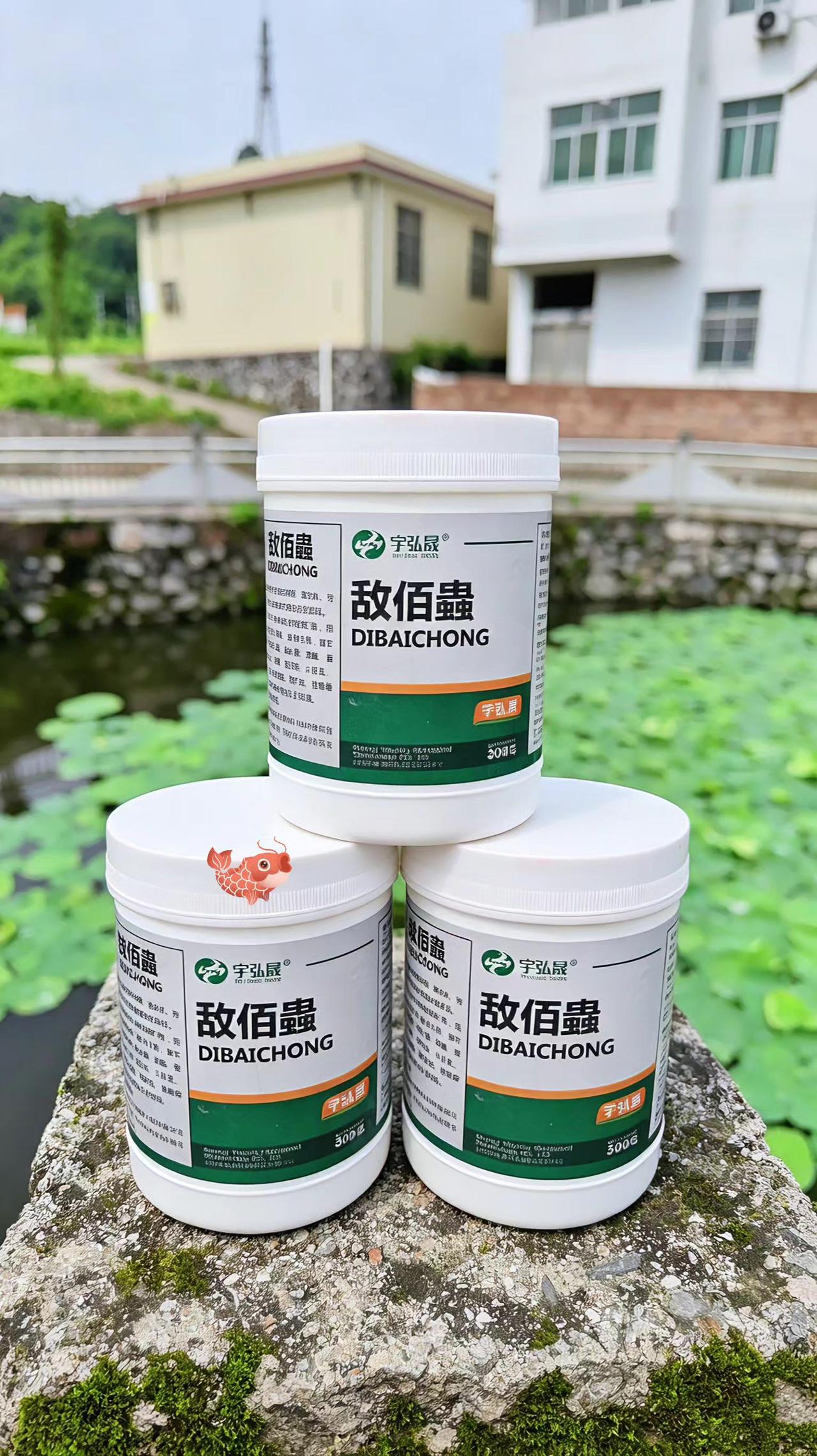 敌佰蟲 鱼塘养殖 鲢鱼 鲤鱼 草鱼