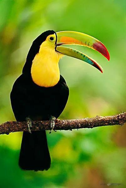 凡事向内求，人生才通透
 
人这一辈子啊，痛苦的根源，往往只有两个字：外求。
 