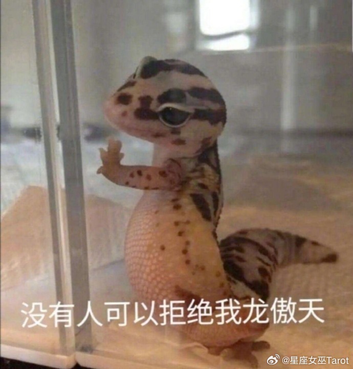 十二星座发朋友圈前在想什么？白羊：想发就发，谁爱看谁看金牛：这张会不会太刻意，算