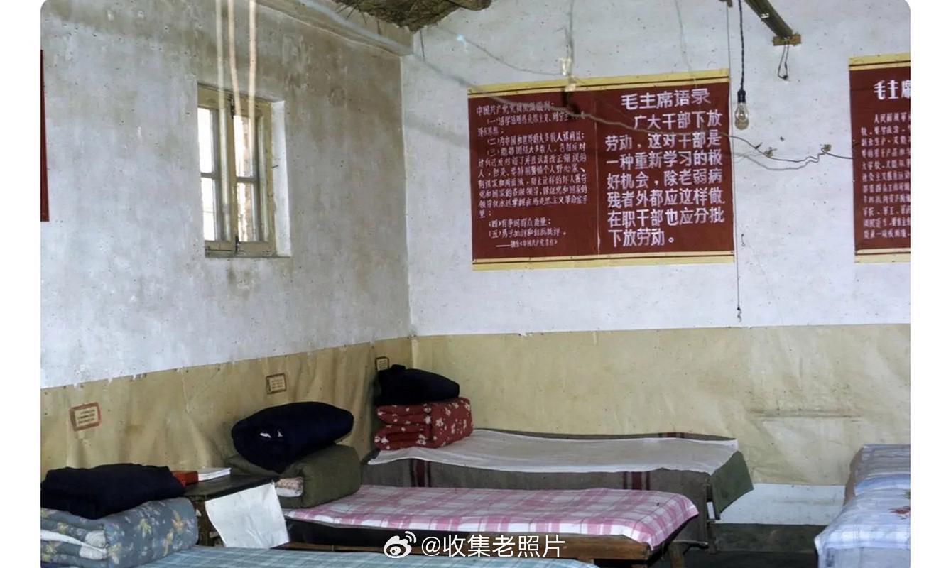 季羡林写过一本书《牛棚杂忆》，今天才看到真实的牛棚照片。原来牛棚长这样，在那个年