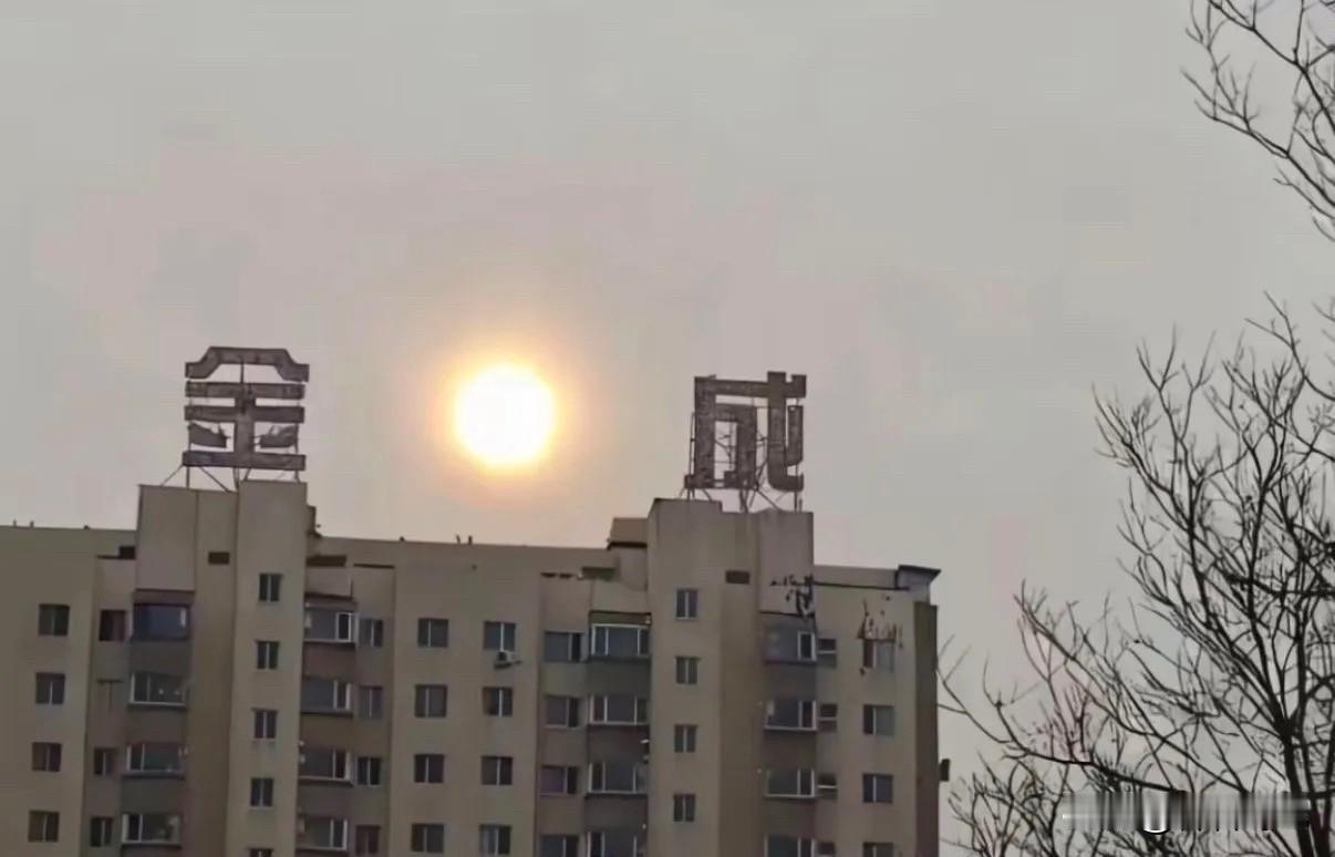 今天也不知为何，漫步到这儿竟觉异常刺眼。虽说天气寒冷，气温低至零下十度，可一股灼