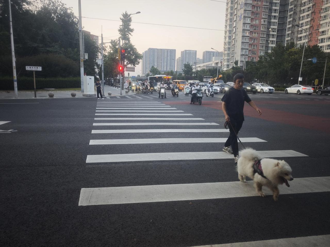 帝都的交规还需要普及啊！
当然公民的自身修养与素质也有待提高。
