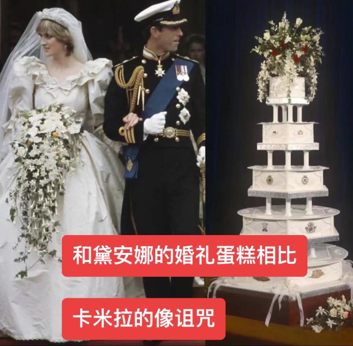 #英王室#黛安娜#查尔斯#卡米拉#凯特王妃