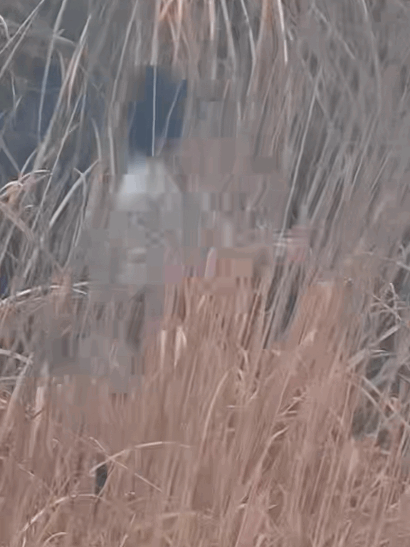 吴磊小苦瓜实锤了，常年拍戏一累就流鼻血，是不是气血太足了吴磊用芦苇杆止鼻血