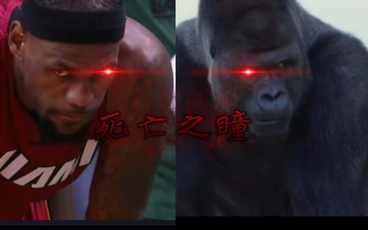 在东契奇赛季报销后，湖媒Lakers Daily晒老詹死亡之瞳图：是时候了。看来