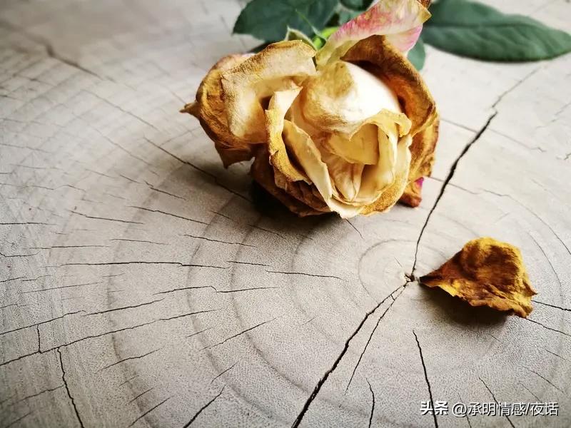 你愿意接受自然的衰老吗? 你愿意接受自然的衰老吗?坦然拥抱自然衰老，方显真智慧！