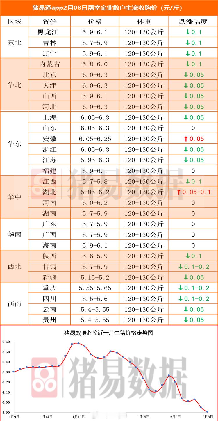 据猪易数据监测数据显示，2026年2月08日标准体重生猪平均价格为11.81元/