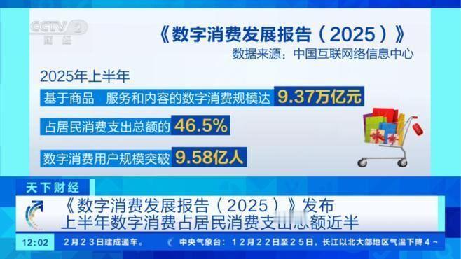 央视网消息：中国互联网络信息中心近日发布《数字消费发展报告（2025）》。报告显