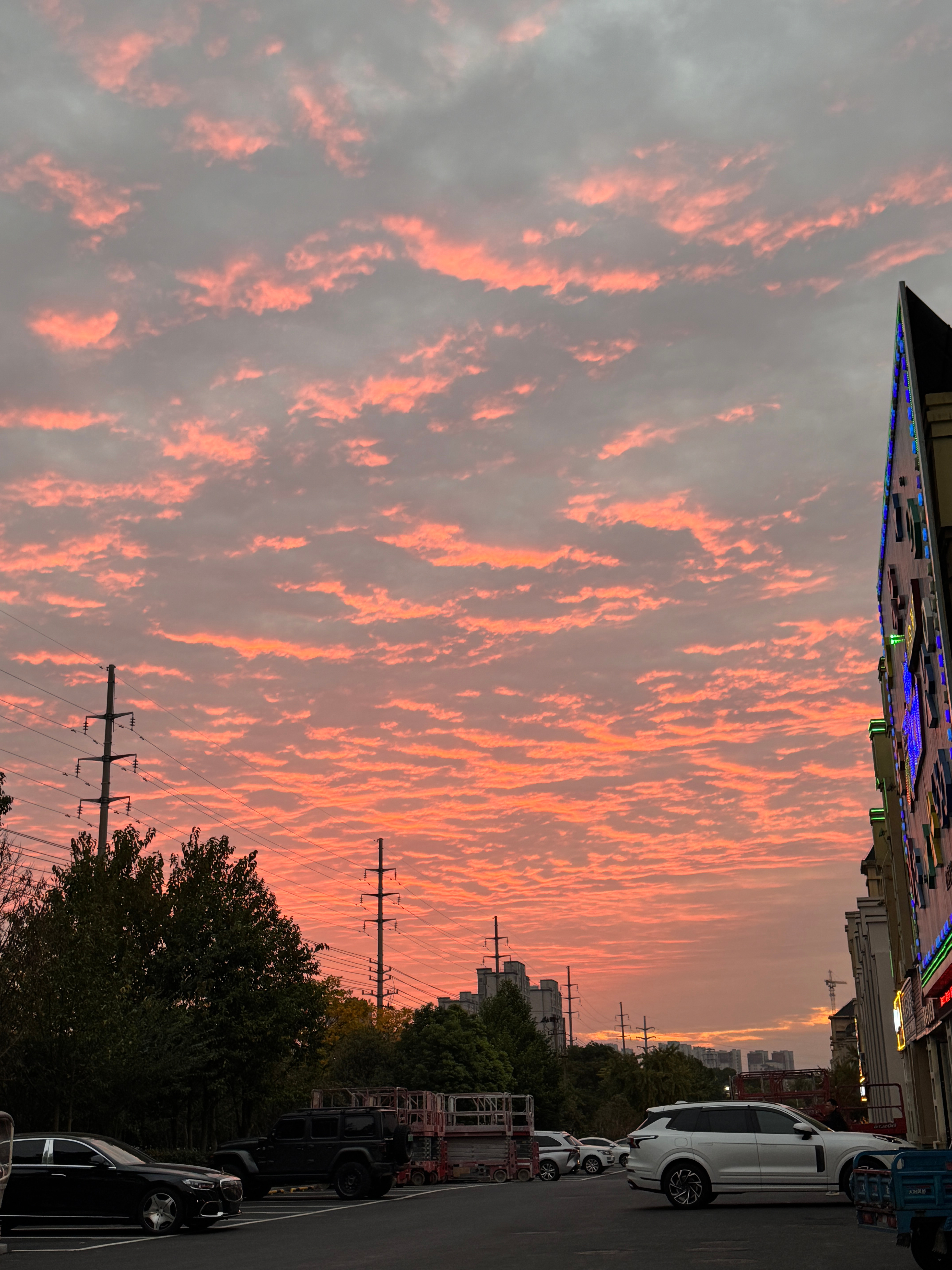 加油加油加油奥利给[卡皮巴拉] ​​​