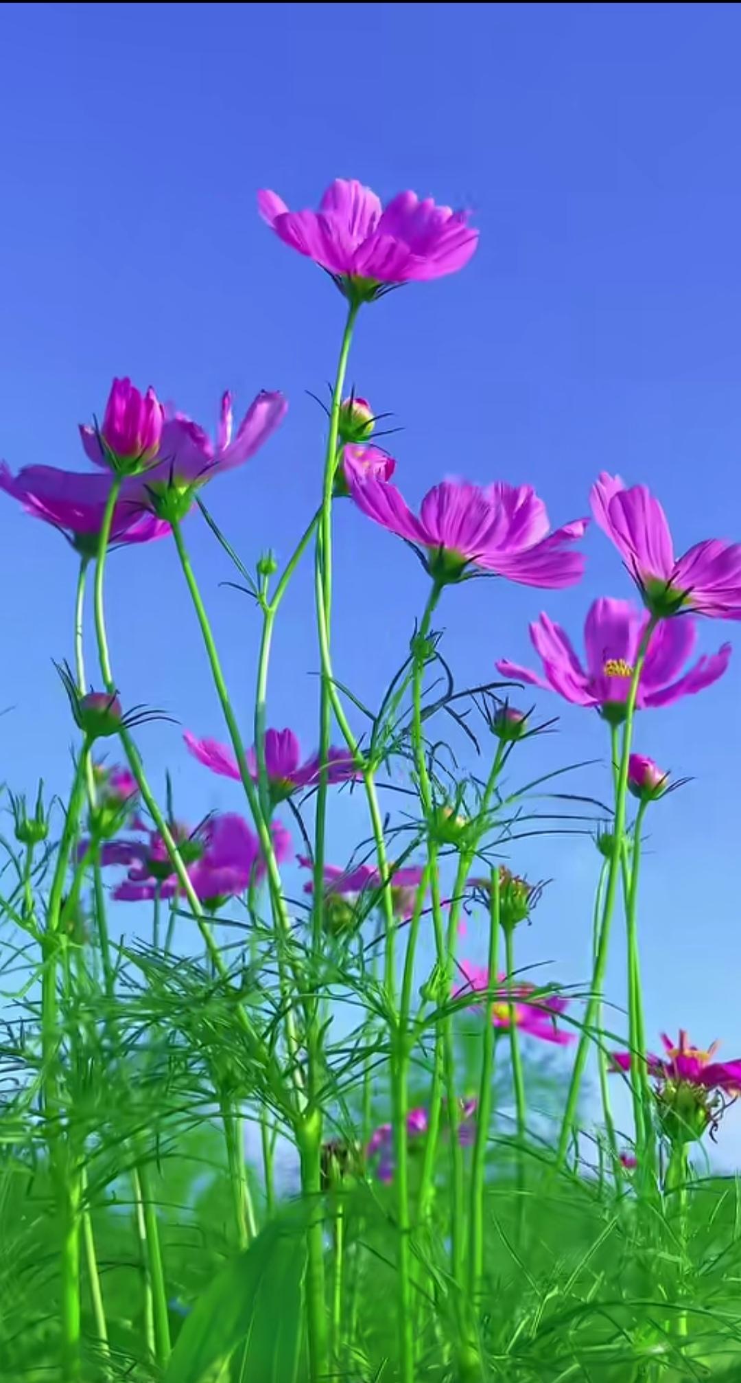 想写就写，谁还看数据，在头条平台发文的大多数都是哪些退休老人聚多，他们平时无事可