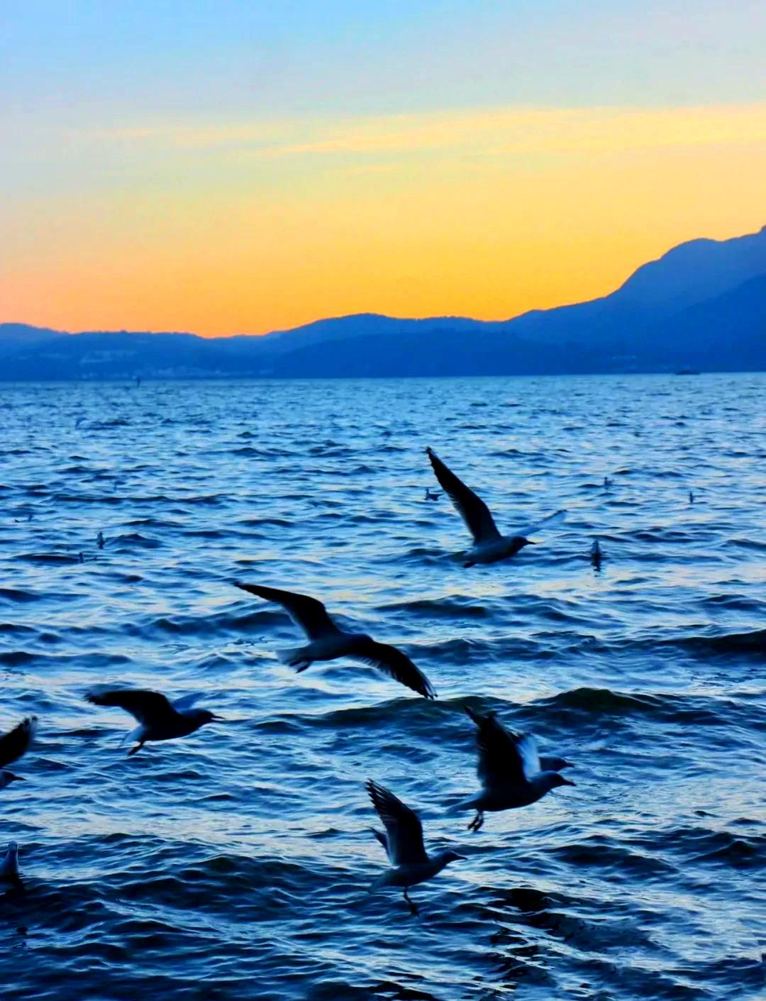 被云南滇池惊艳了！

以前很多人对滇池的印象，还停留在污染、蓝藻，可现在再去看，