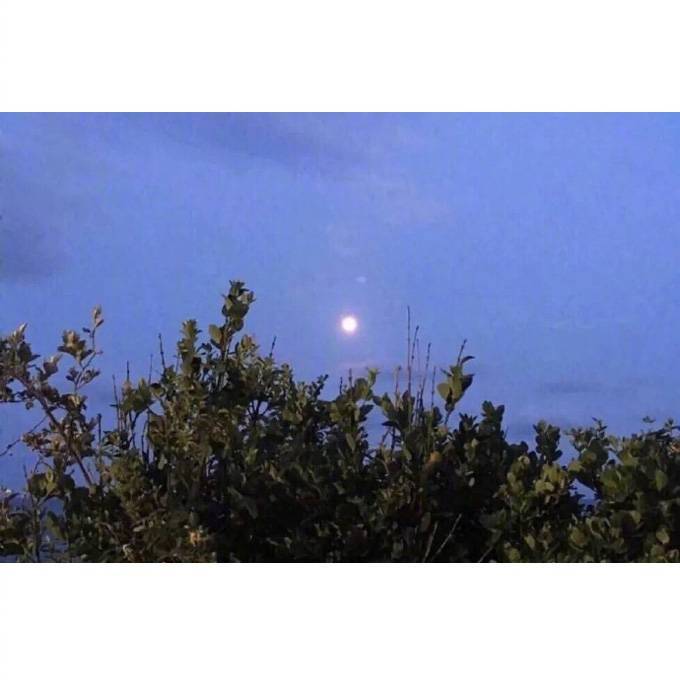 好感可以保持很久很久但也真的说没有就没有 ​​​​