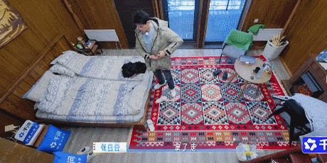 孙杨张豆豆从出门一路吵到上车孙杨张豆豆也太真实了吧！从出门就开始吵，一路吵到上车
