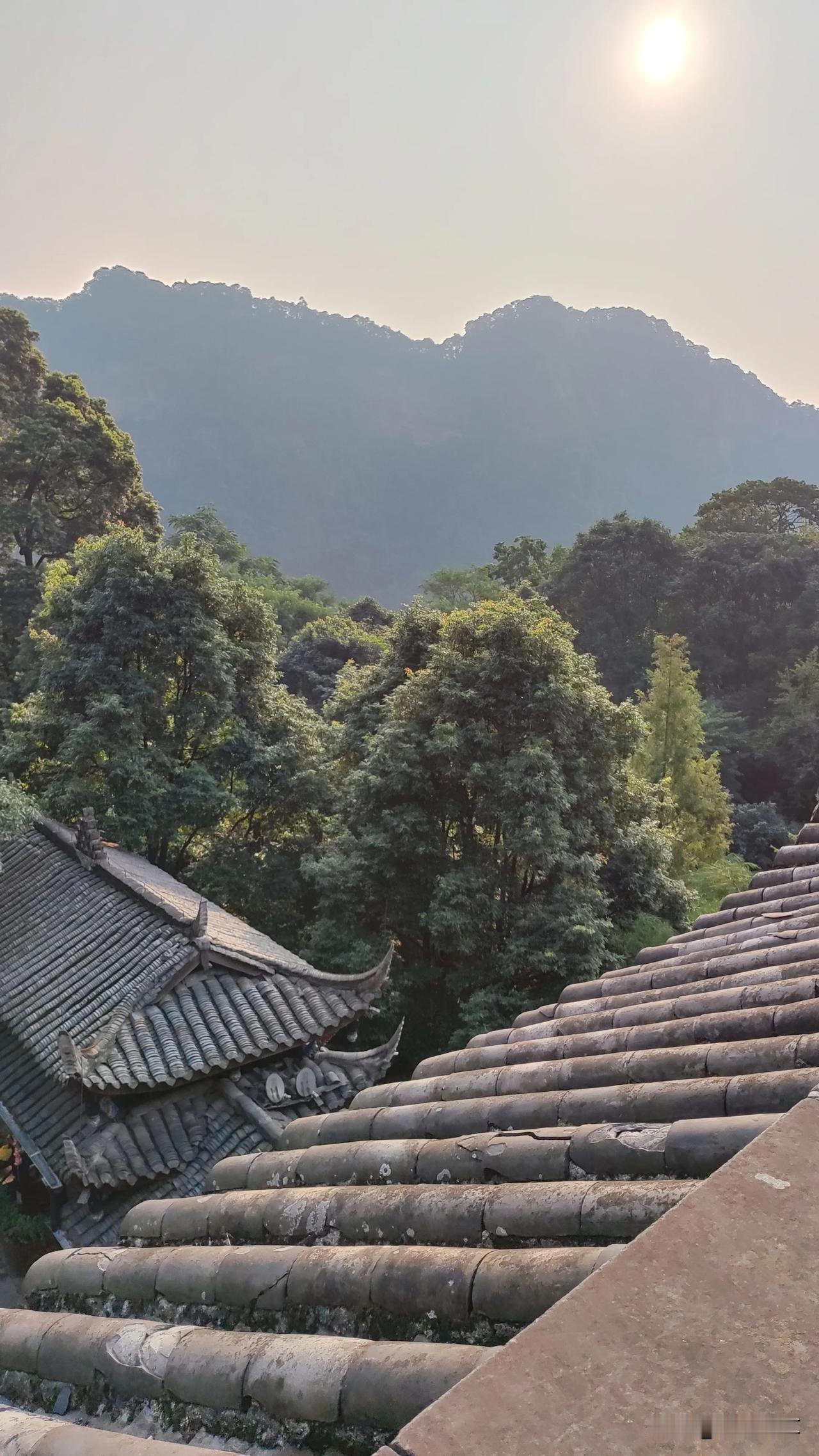 #秋日生活打卡季#青城山风景#秋日出游随手拍#