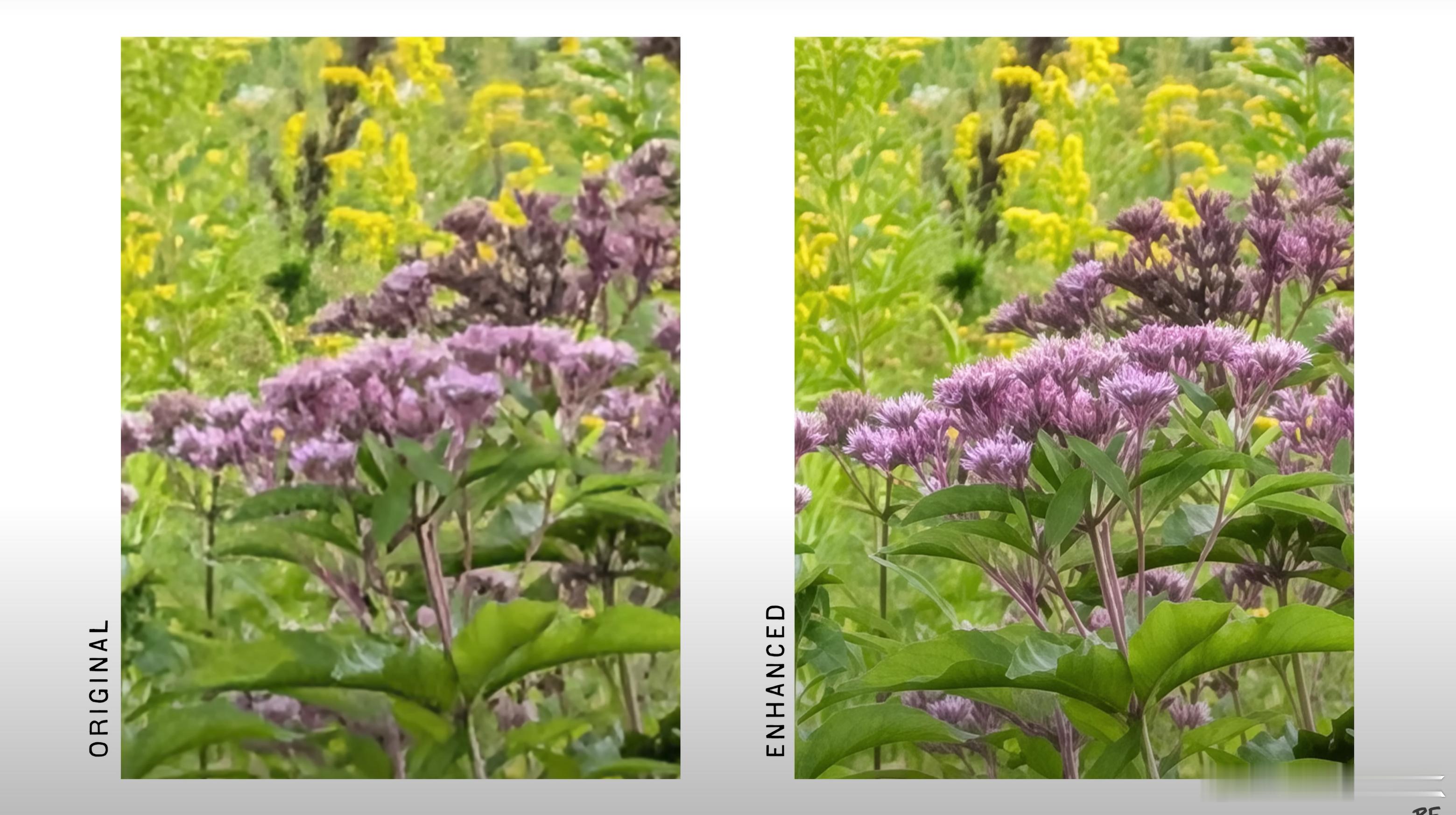 继续谷歌Pixel 10 Pro 的Super Res Zoom样张对比，识别到