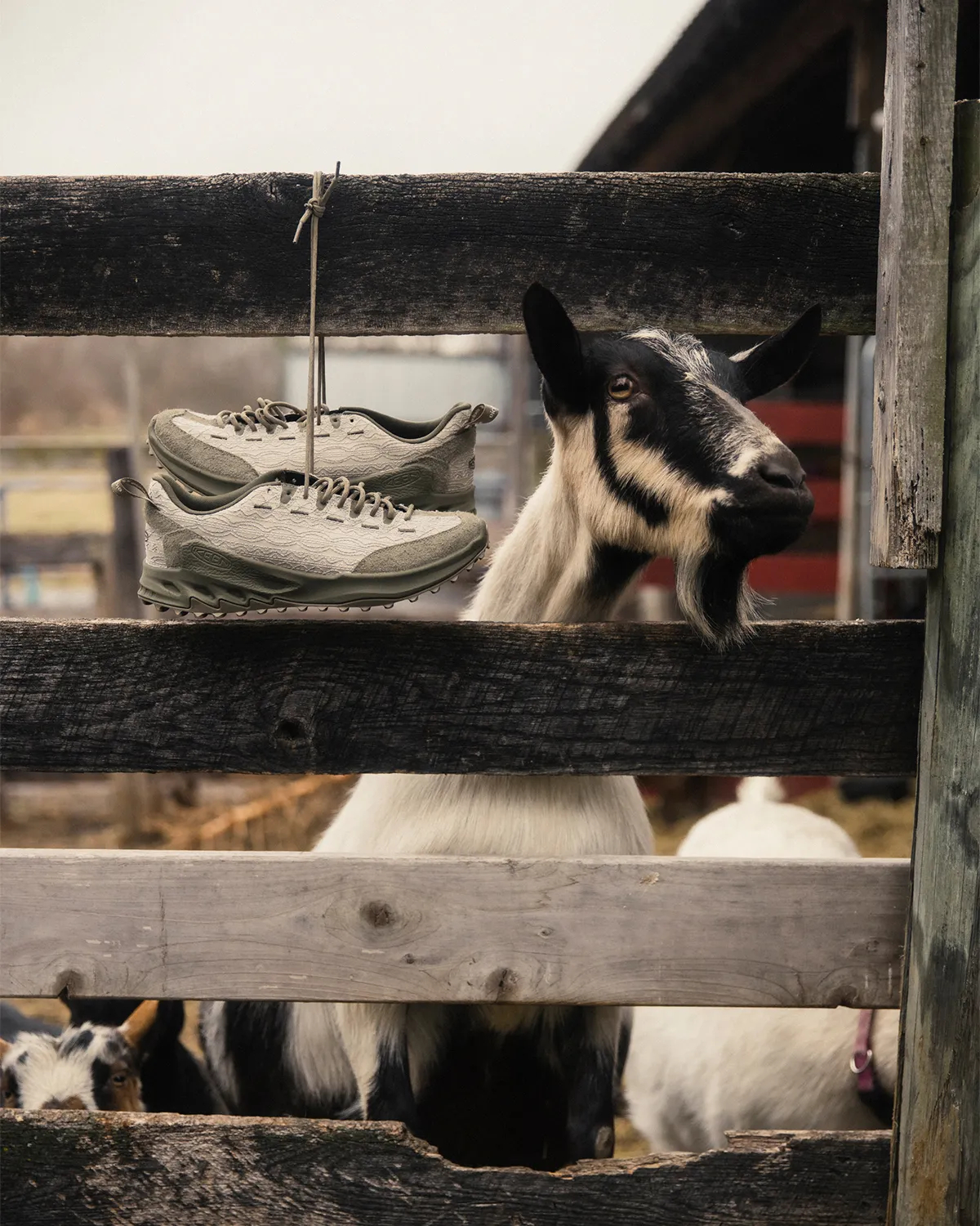 18 East x KEEN Jasper Zionic pack 