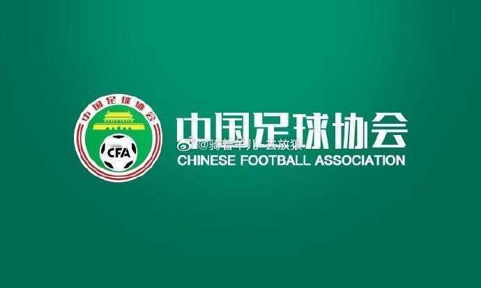 足协第三批禁足名单：丁勇、吴静博等17名从业人员终身禁足！足协第三批禁足名单 北