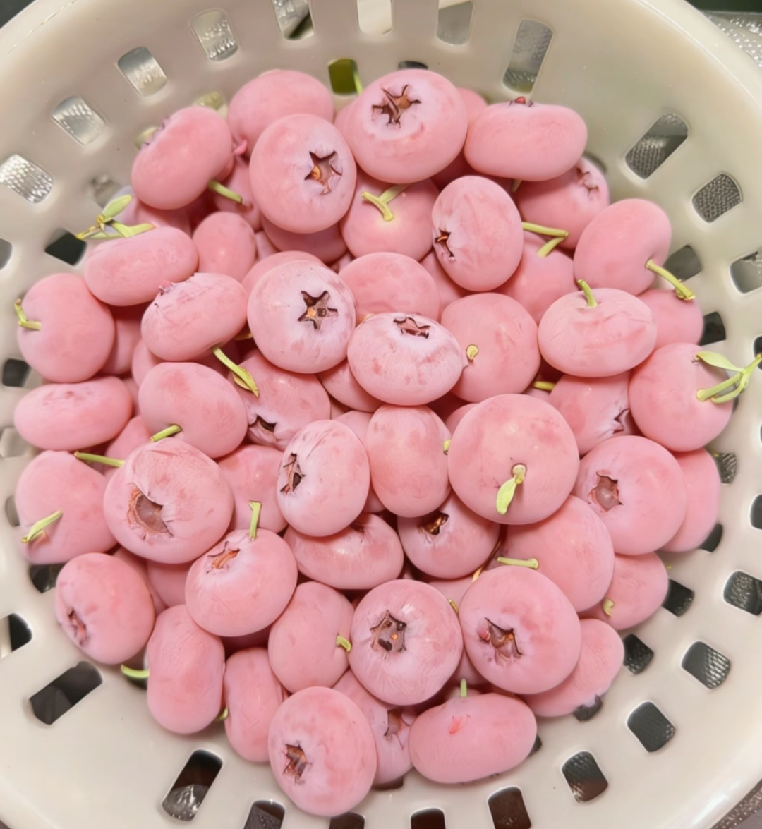 粉色蓝莓🫐，开眼了，第一次听说！一般的店儿还真没见到过粉色蓝莓一颗难求粉色蓝莓