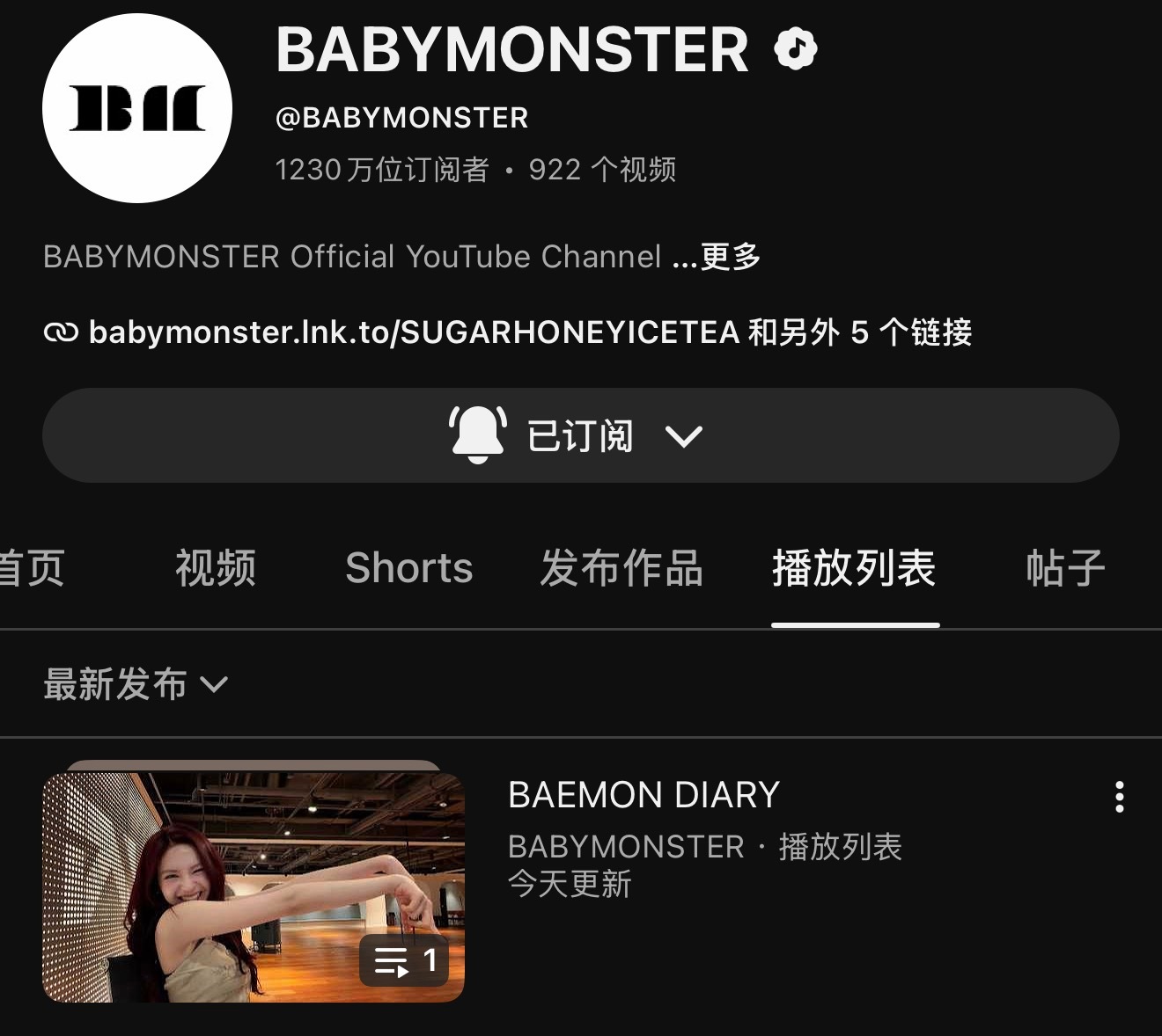 BABYMONSTER的YouTube上新增了<BAEMON DIARY>的播放