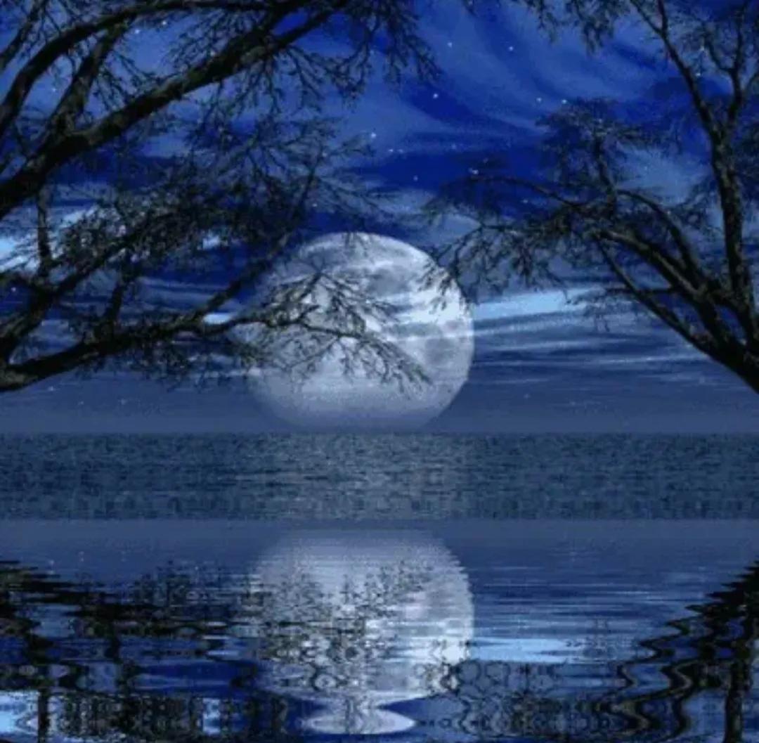 两年了，整整两年，我几乎每天都会给他送一份固定的午餐和晚餐，风雨无阻。
系统派单