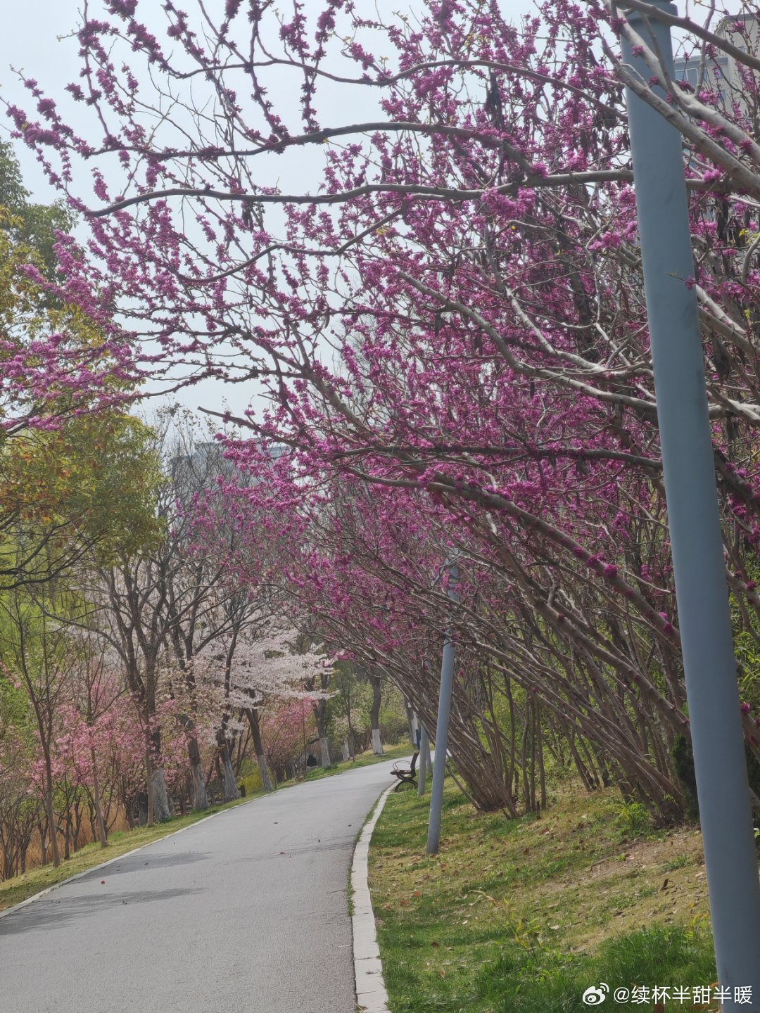 家门口这个位置好美 