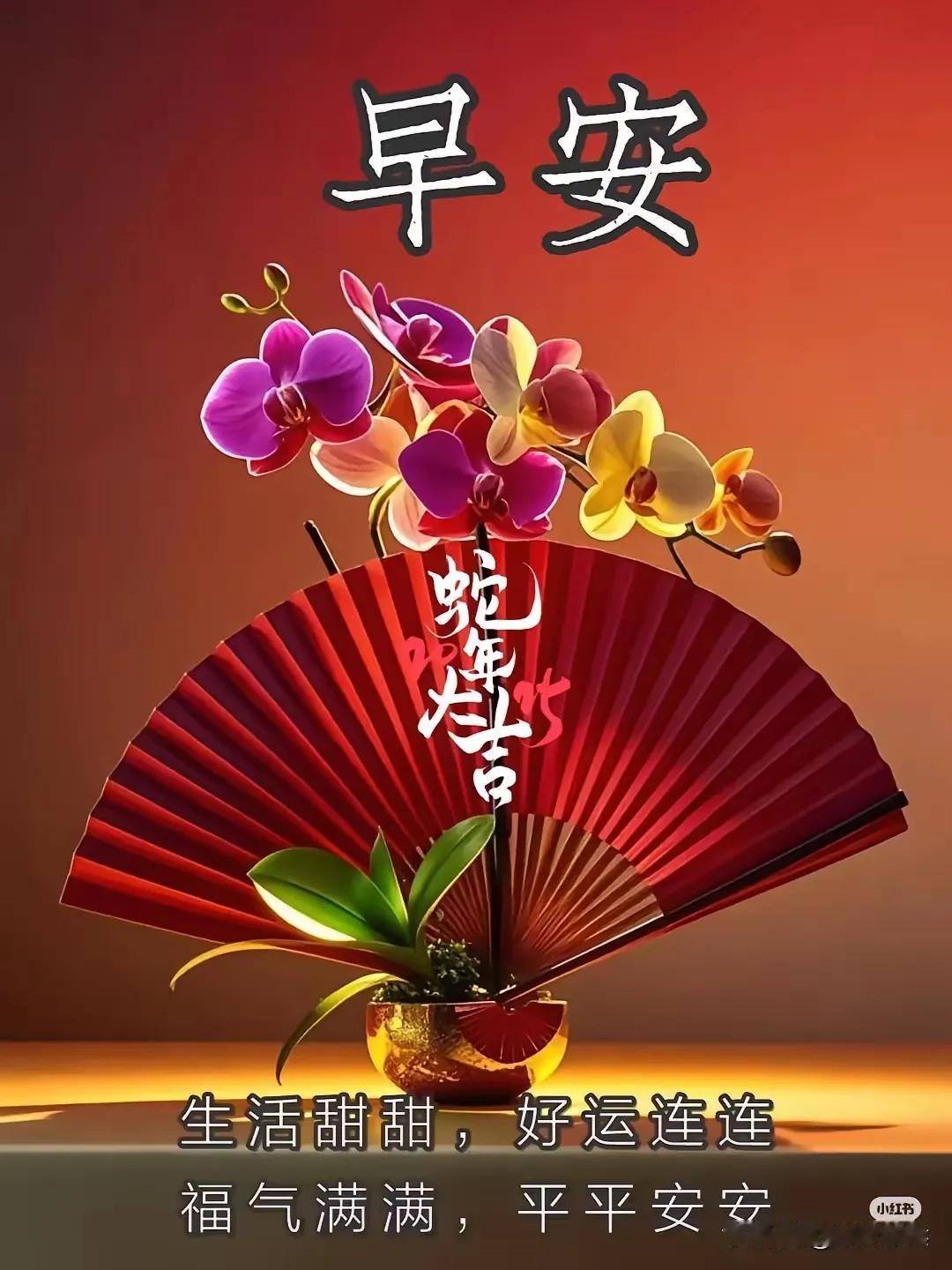 早安，好运连连，福气满满，平安安！🌺🌺🌺