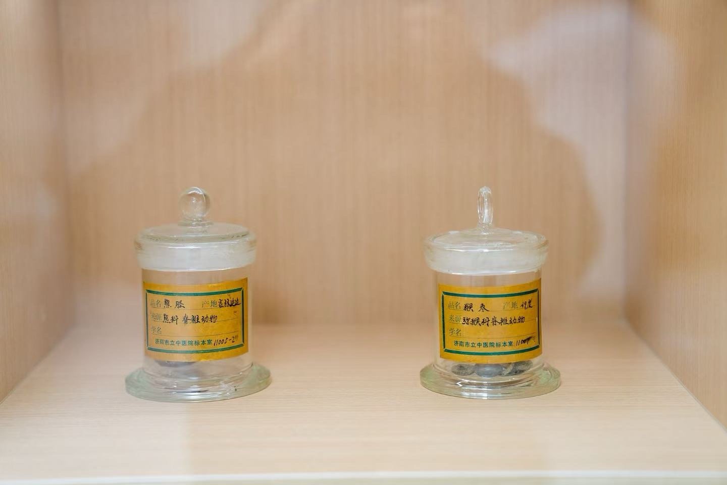 跟着扁鹊畅游泉城踏入济南广安门医院的瞬间，终于读懂中医跨越千年的魅力。展柜里上千