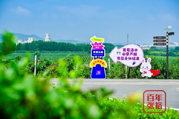 今天到底多少于适粉丝在烟台咱烟台今天是真热闹，我刷到好多于适粉丝赶过来赴张裕的约
