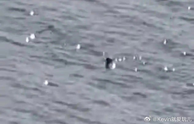 尼斯湖水怪再次被拍到尼斯湖水怪又被人拍到了就是这清晰度…一言难尽还没我画画画的好