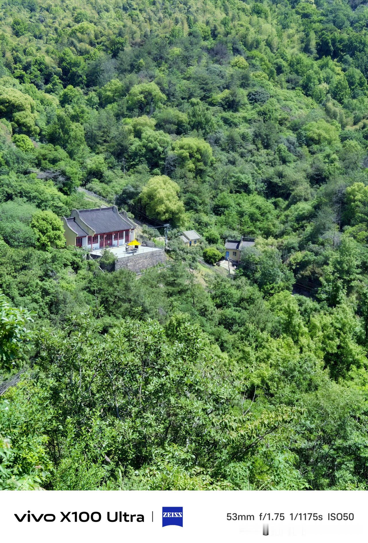 真心话茶局被满山的绿意和山间古寺治愈了，原来最心安的地方，藏在无人打扰的深山里。