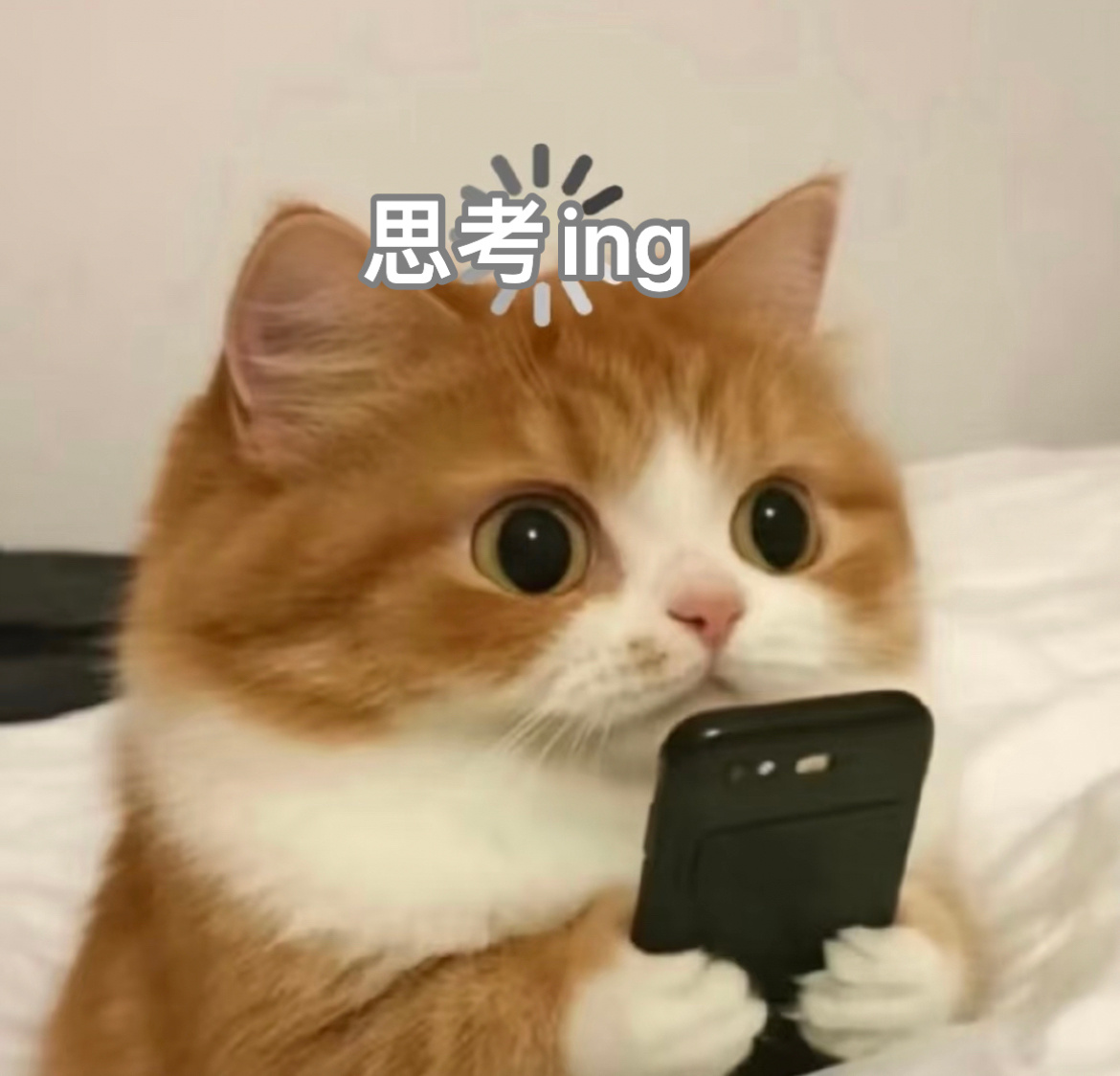 一直没明白为什么微信能取代QQ大部分都是周围陆续有人用就稀里糊涂用了吧，而且最开