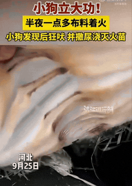 河北衡水，中秋凌晨，所有人都在熟睡，家里杂物间的布料突然意外起火。
火苗悄悄燃起